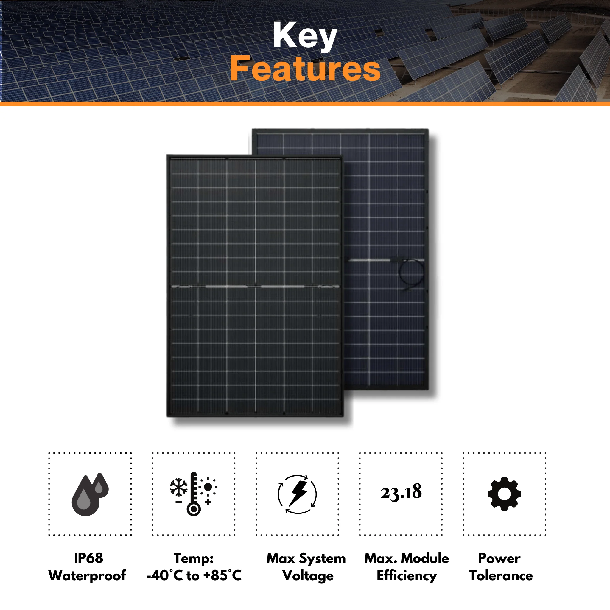 Maple Leaf Bifacial Solar Panel 700W - 558pcs | Commercial Solar Panels | N-type Mono Cells | IP68 Junction Box & IP67 MC4 Cable | Container - Image 4