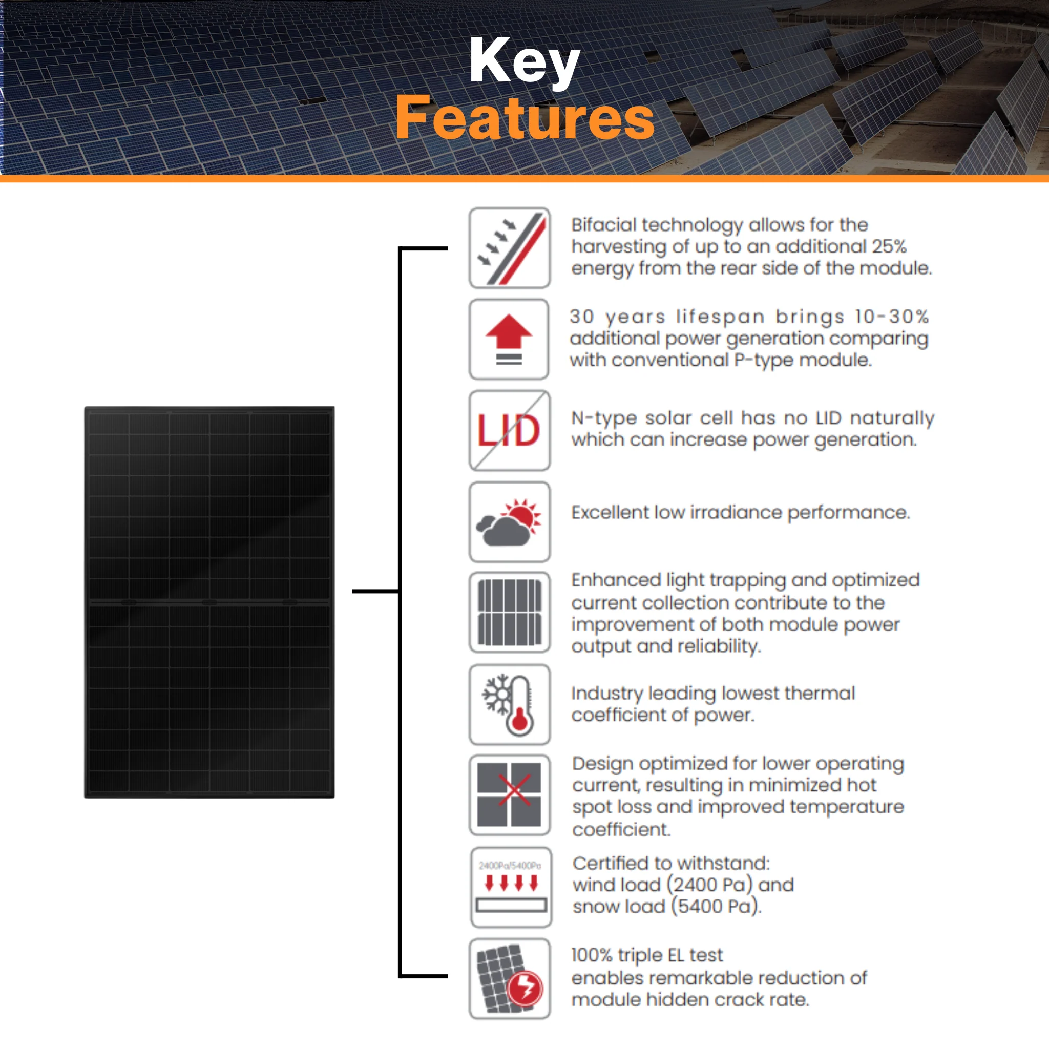 Thornova Black Bifacial Single Glass TOPCon Solar Panel TS-BBT54-425W - PALLET | Monocrystalline Cell | Aluminum Frame | IP68 Rating | Triple EL Tested - Image 6